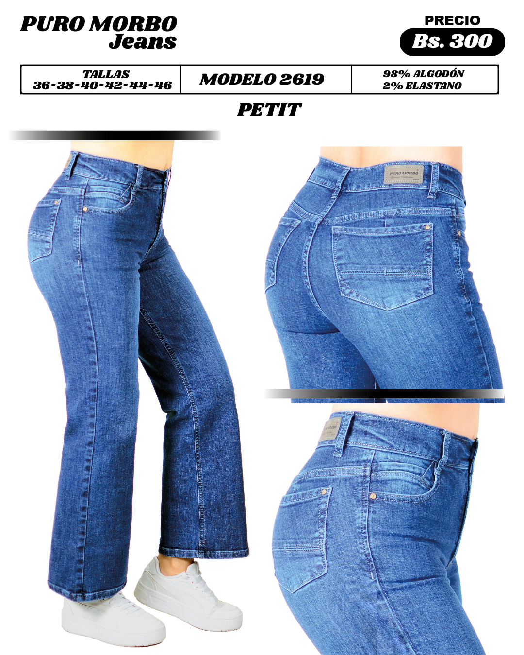 Modelo 2619